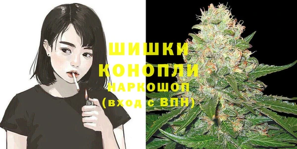 мдпв Навашино